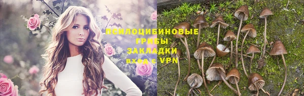 ALPHA PVP Елабуга