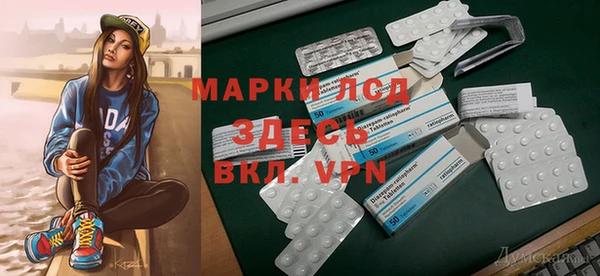 mdpv Елизово