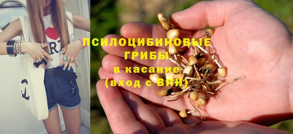 мескалин Заволжье