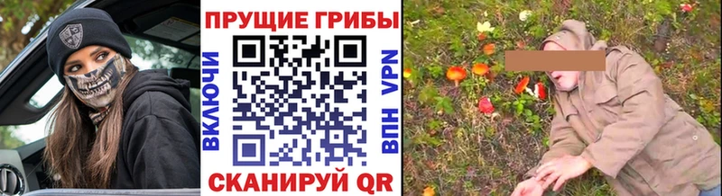 Купить закладки Старый Крым Галлюциногенные грибы Cubensis